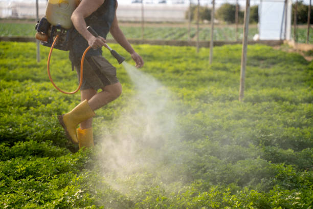 Best Commercial Pest Control Services  in Speer, NC